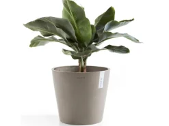 Outlet Ecopot s Pflanztopf Amsterdam 30 cm Braungrau