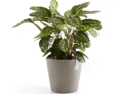 Outlet Ecopot s Pflanztopf Amsterdam 30 cm Braungrau