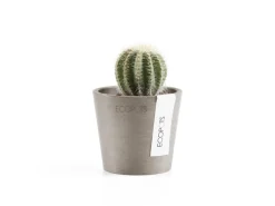Online Ecopots Pflanztopf Amsterdam Mini 8 cm x 7 cm Taupe