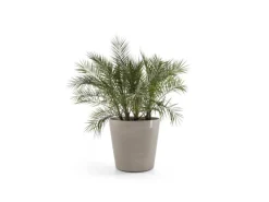 Ecopots Pflanztopf Amsterdam Rollen 60 cm x 56 cm< Töpfe