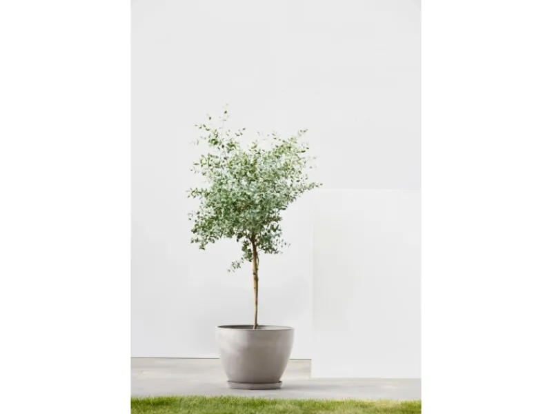 Discount Ecopot s Pflanztopf Antwerp 40 cm Braungrau