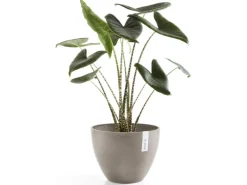 Ecopot Töpfe<s Pflanztopf Antwerp 50 cm