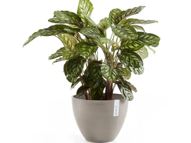 Ecopot Töpfe<s Pflanztopf Antwerp 30 cm