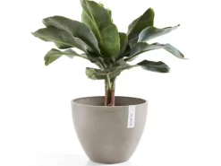 Ecopot Töpfe<s Pflanztopf Antwerp 30 cm