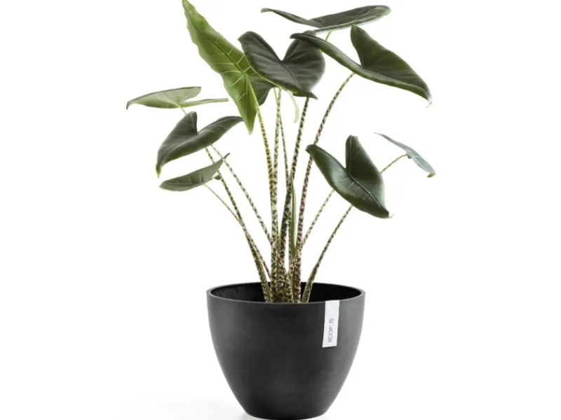 Clearance Ecopot s Pflanztopf Antwerp 30 cm Dunkelgrau