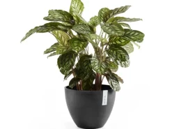 Best Ecopot s Pflanztopf Antwerp 40 cm Dunkelgrau