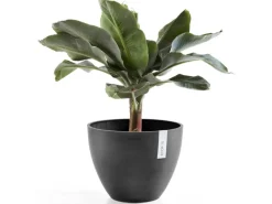 Best Ecopot s Pflanztopf Antwerp 40 cm Dunkelgrau