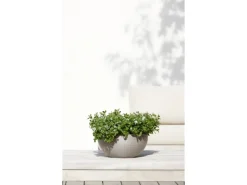 Ecopots Töpfe<Pflanztopf Brussels Braungrau 30 cm x 14 cm