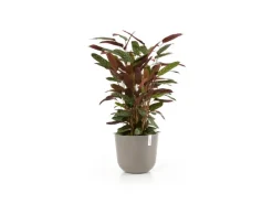 Ecopots Pflanztopf Oslo Braungrau Ø 35 cm / Höhe 30,5 cm< Töpfe