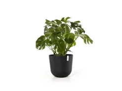 Ecopots Töpfe<Pflanztopf Oslo 55 cm x 47,9 cm