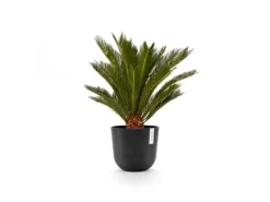 Ecopots Pflanztopf Oslo 25 cm x 21,8 cm< Töpfe