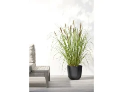 Ecopots Pflanztopf Oslo 25 cm x 21,8 cm< Töpfe