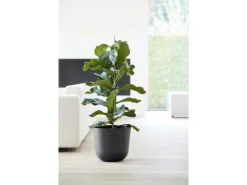 Ecopots Pflanztopf Oslo 35 cm x 30,5 cm< Töpfe