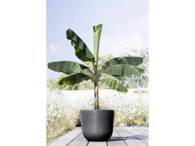 Ecopots Töpfe<Pflanztopf Oslo 45 cm x 39,2 cm