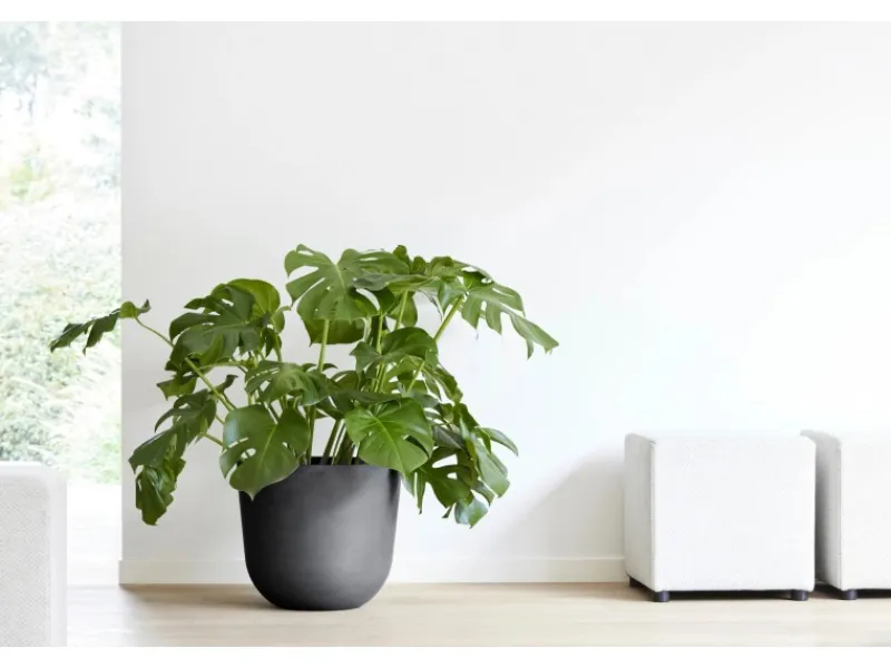 Ecopots Töpfe<Pflanztopf Oslo 45 cm x 39,2 cm