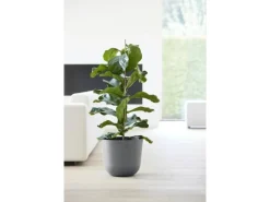 Ecopots Pflanztopf Oslo 35 cm x 30,5 cm Grau