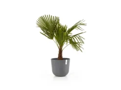Best Ecopots Pflanztopf Oslo 35 cm x 30,5 cm Grau