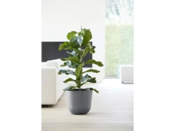 Best Ecopots Pflanztopf Oslo 35 cm x 30,5 cm Grau