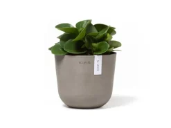 Ecopots Pflanztopf Oslo Mini Braungrau 16 cm x 14 cm< Töpfe