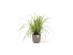 Ecopots Töpfe<Pflanztopf Oslo Mini Braungrau 19 cm x 16,5 cm