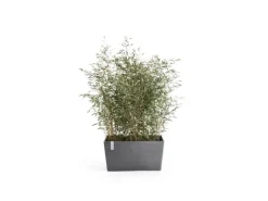 Ecopots Pflanztopf Paris (HxBxT) 50 x 99 x 46 cm< Töpfe