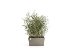 Best Ecopots Pflanztopf Paris Braungrau 60 cm 26 cm x 40 cm Taupe