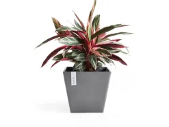 Ecopots Pflanztopf Rotterdam Grau (HxBxT) 35 x 40 x 40 cm< Töpfe