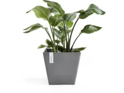 Ecopots Töpfe<Pflanztopf Rotterdam Grau (HxBxT) 26 x 30 x 30 cm