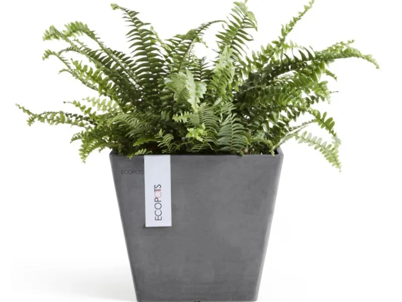 Discount Ecopot s Pflanztopf Rotterdam 20 cm x 20 cm x 17,5 cm Grau