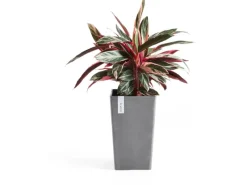 Ecopot s Pflanztopf Rotterdam 30 cm x 30 cm x 50 cm Grau< Töpfe
