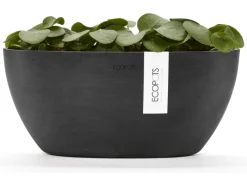Ecopot Töpfe<s Pflanztopf Sofia+WasBeh 30 cm