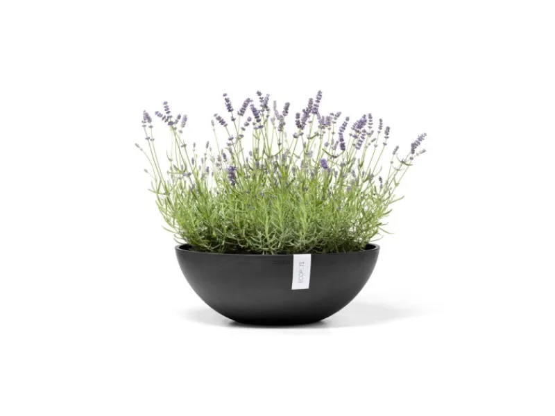 Ecopots Töpfe<Pflanztopf Vienna Ø 50 cm / Höhe 18 cm