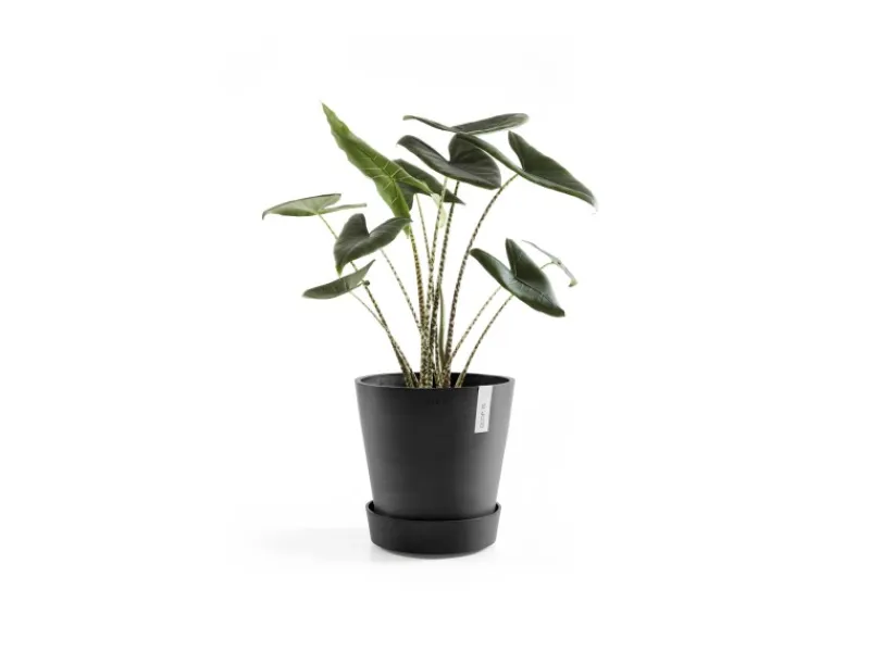Ecopots Untersetzer Amsterdam Rollen 28,7 cm x 8,3 cm< Töpfe