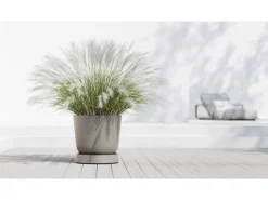 Ecopots Töpfe<Untersetzer Oslo Rollen Braungrau 50 cm x 10,5 cm