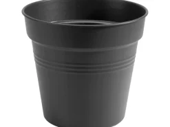 Elho Anzuchttopf Green Basics Ø 21 cm living< Töpfe
