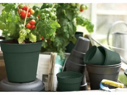 Elho Anzuchttopf Green Basics Ø 11 cm< Töpfe