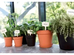 Clearance Elho Anzuchttopf Green Basics Ø 11 cm living Schwarz