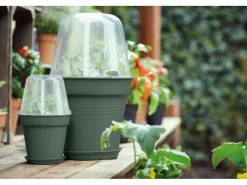 Outlet Elho Anzuchttopf Green Basics Ø 27 cm Laubgrün
