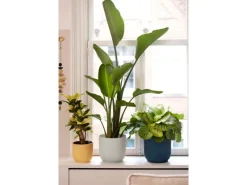 Clearance Elho Übertopf Vibes Fold Ø 25 cm x 23 cm Seidenweiß