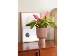Elho Übertopf Vibes Fold Coupe 14 cm x 13,9 cm x 21 cm Zartrosa< Töpfe