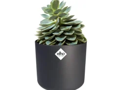New Elho Blumentopf B.For Soft Rund Ø 29,5 cm Anthrazit