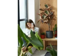 New Elho Blumentopf B.For Soft Rund Ø 29,5 cm Anthrazit