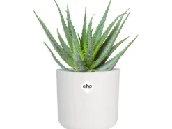 Elho Töpfe<Blumentopf B.For Soft Rund Ø 18,3 cm