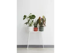 Elho Töpfe<Blumentopf B.For Soft Rund Ø 18,3 cm