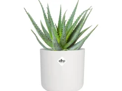 Elho Blumentopf B.For Soft Rund Ø 16 cm< Töpfe