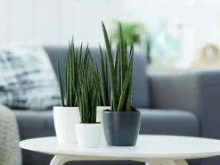 Clearance Elho Blumentopf Brussels Rund Mini Ø 7 Weiß