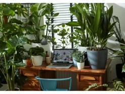 Elho Töpfe<Blumentopf Brussels Rund Ø 14  