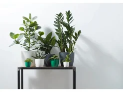 Elho Blumentopf Brussels Rund Mini Ø 12,5   Weiß