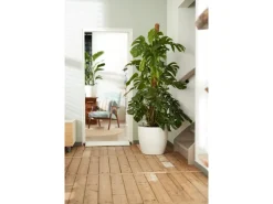 Sale Elho Blumentopf Brussels Rund mit Rollen Ø 40 cm Weiß