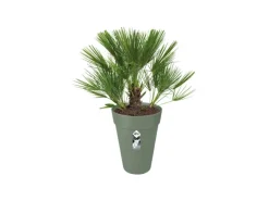 Elho Blumentopf Loft Urban Ø 34 cm x 45 cm Grün< Töpfe